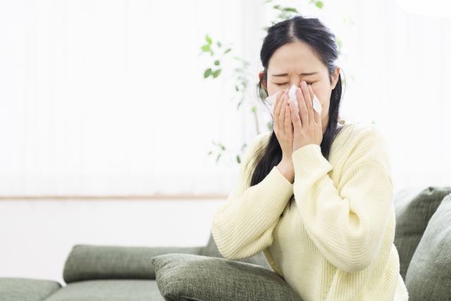 くしゃみ、鼻水が止まらない…原因はハウスダストかも？のイメージ画像